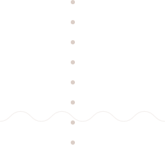 الرئيسية Shape 7